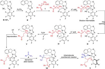 An Unexpected Inactivation of N-Heterocyclic Carbene Organic Catalyst by 1-Methylcyclopropylcarbaldehyde and 2,2,2-Trifluoroacetophenone